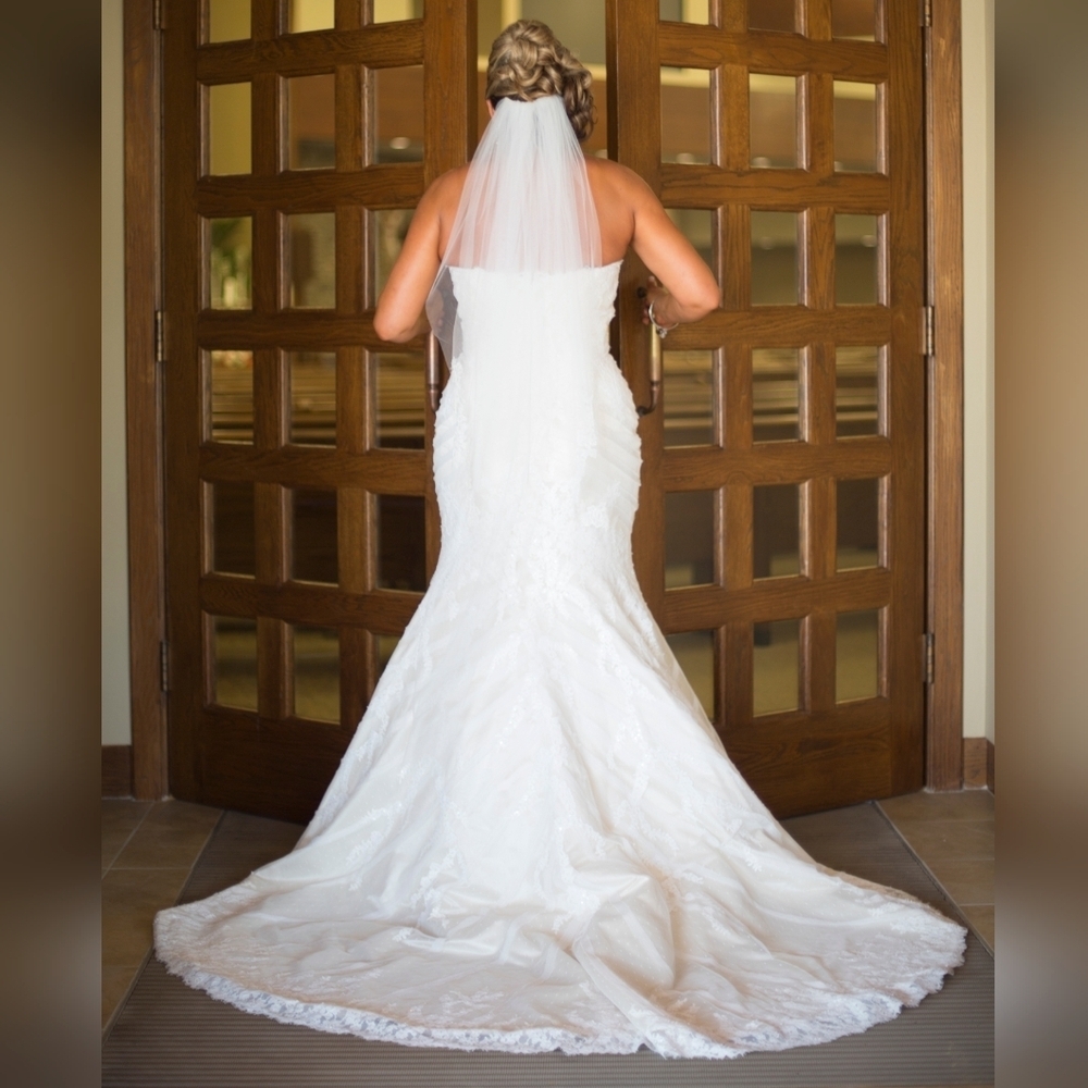 Matthew Christopher | Sophia Wedding Gown & Veil Size 14 - Picture 3 of 16